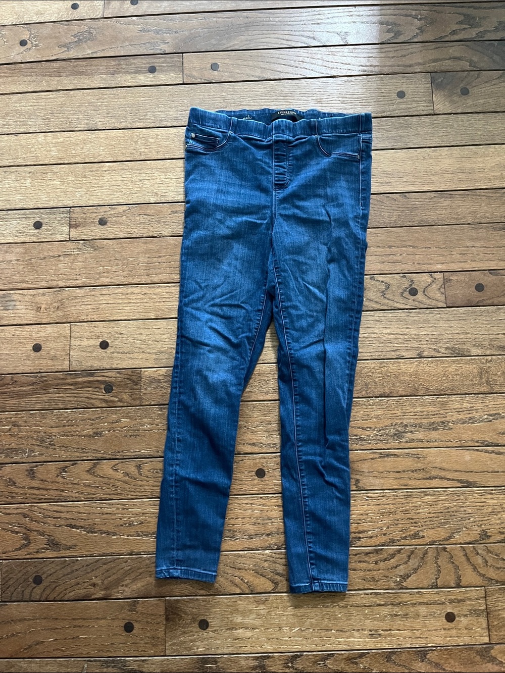 Liverpool Slim Skinny Jeans in Blue Denim